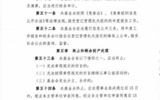 中国青少年基金会（中国青少年基金会是什么）