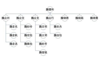 顶新公益基金，顶新公益基金会陈志团