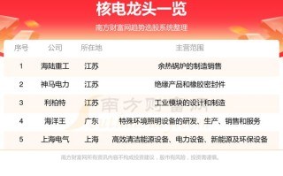 福能股份？福建福能股份有限公司