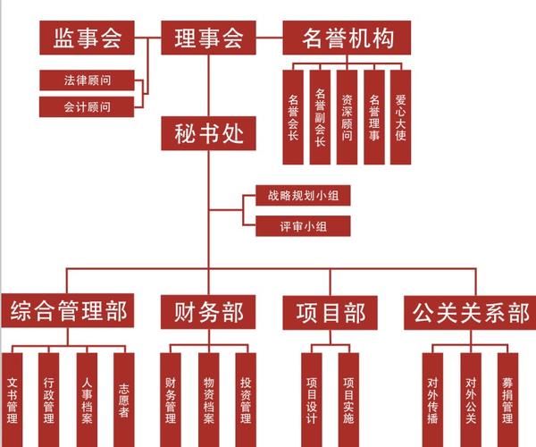 河仁慈善基金会，河仁慈善基金会干过什么