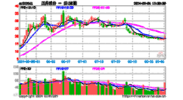 正丹股份（正丹股份股票）