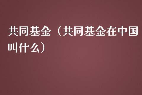 证券投资信托基金？证券投资信托基金有哪些