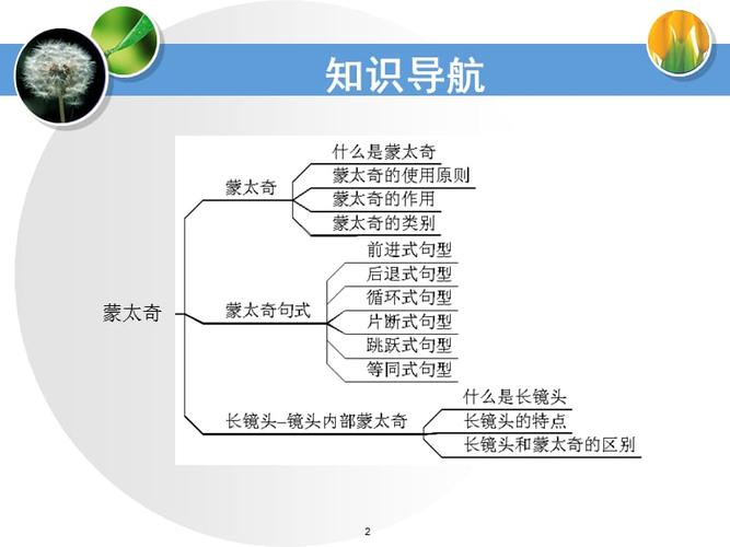 新闻特写金融科技（新闻特写经典案例）